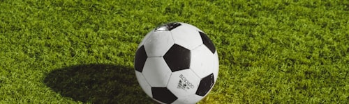 AC米兰一线队全体球员合影